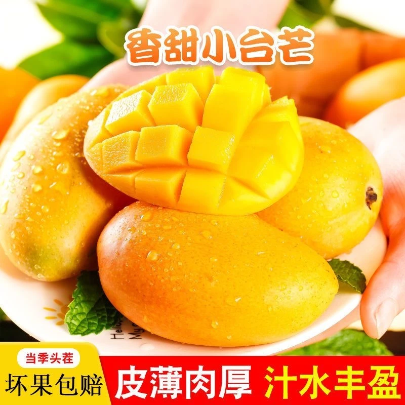 徐闻头茬小台农芒果带箱5斤正宗小台芒时令水果当季热卖新鲜芒果