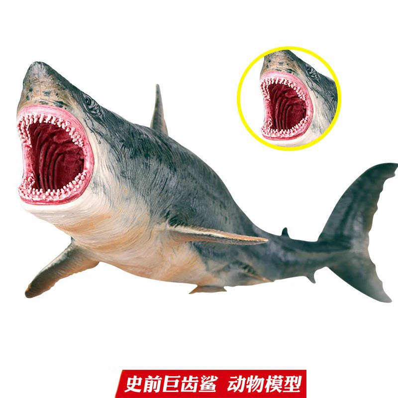 巨齿鲨玩具加大号鲨鱼海洋动物生物仿真模型大白鲨虎鲨摆件儿童