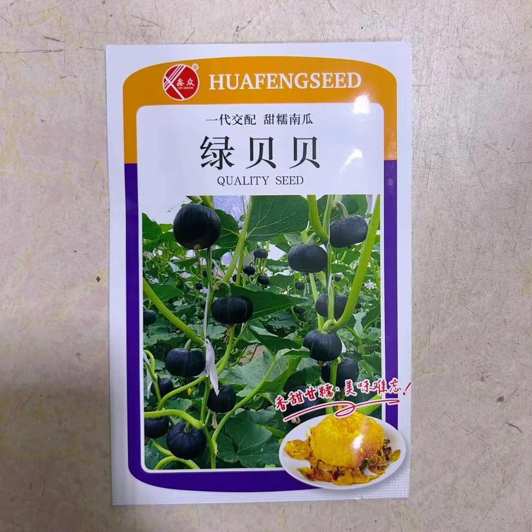 绿贝贝南瓜种子，粉糯香甜