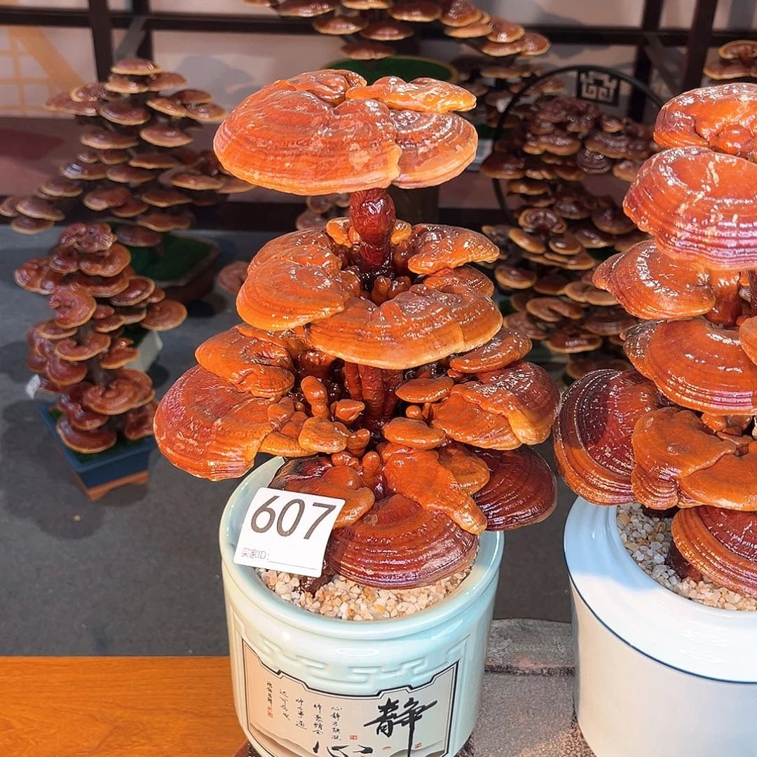 无花朵万事如意888888888888888