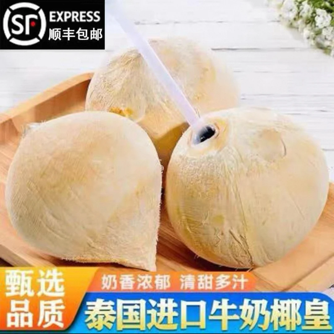 海南三亚精品泰国奶椰
