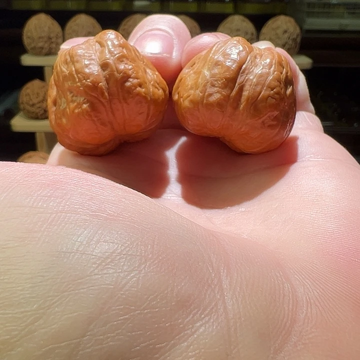 文玩核桃把件变异玉蝉