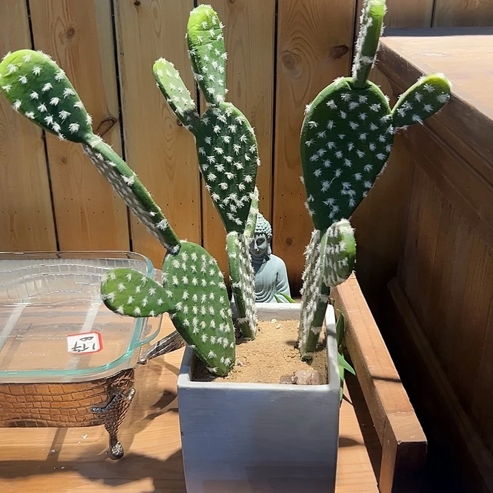 便携款微瑕微瑕微瑕