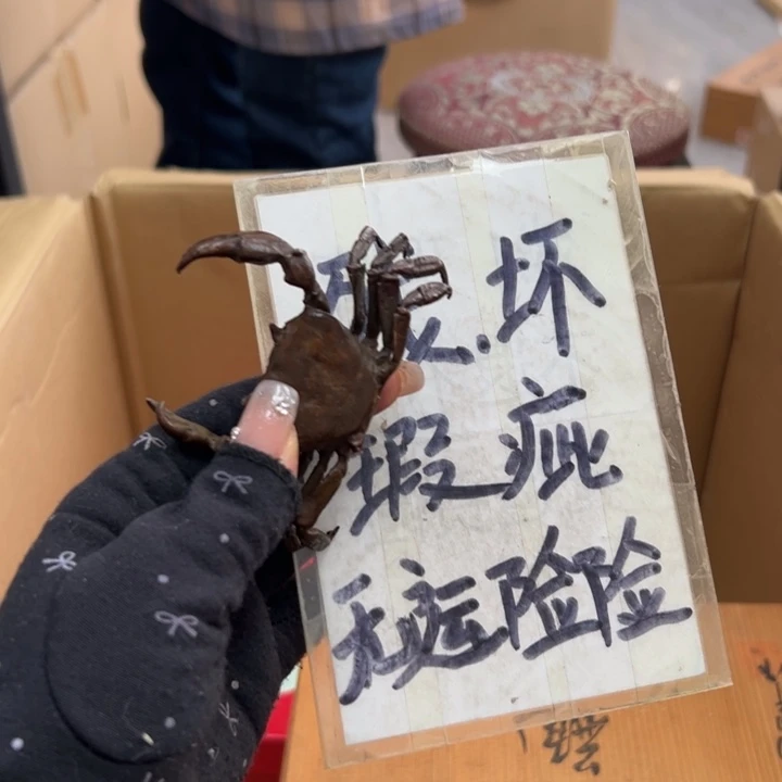 业*谢谢了哈哈哈哈哈哈我笑