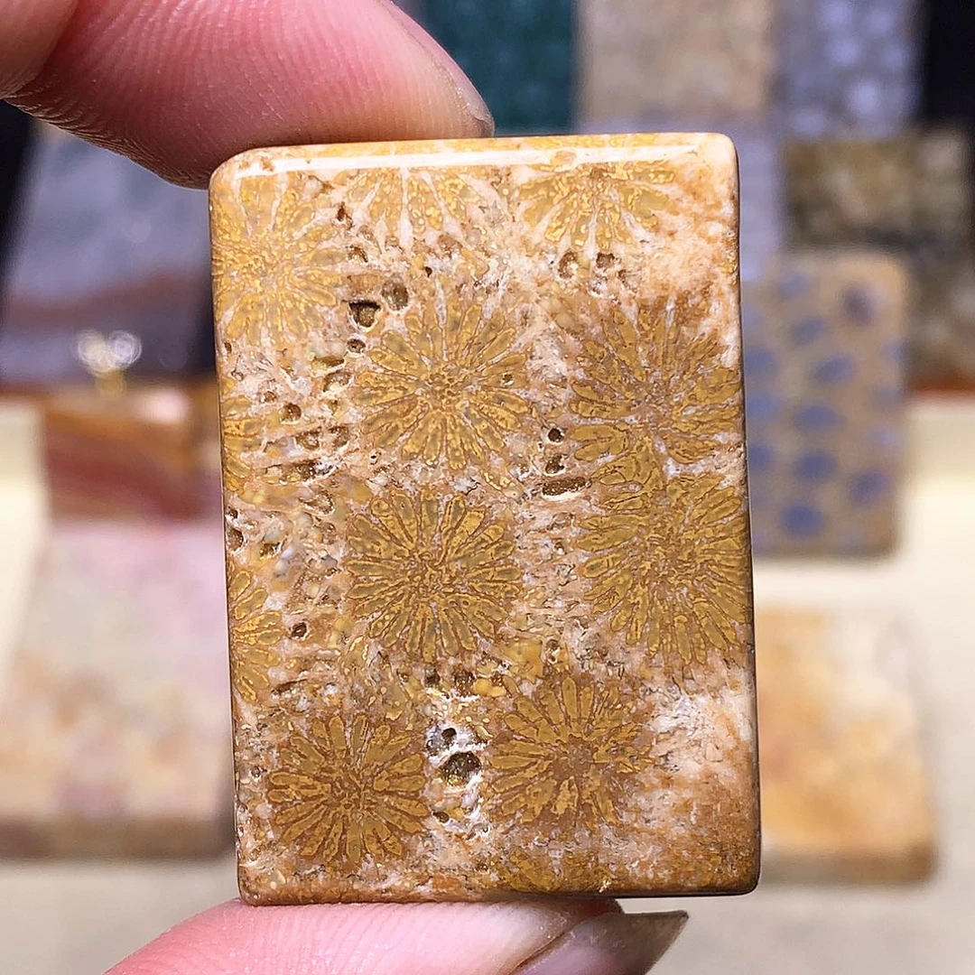 硅化玉珠宝奇石合金随**留