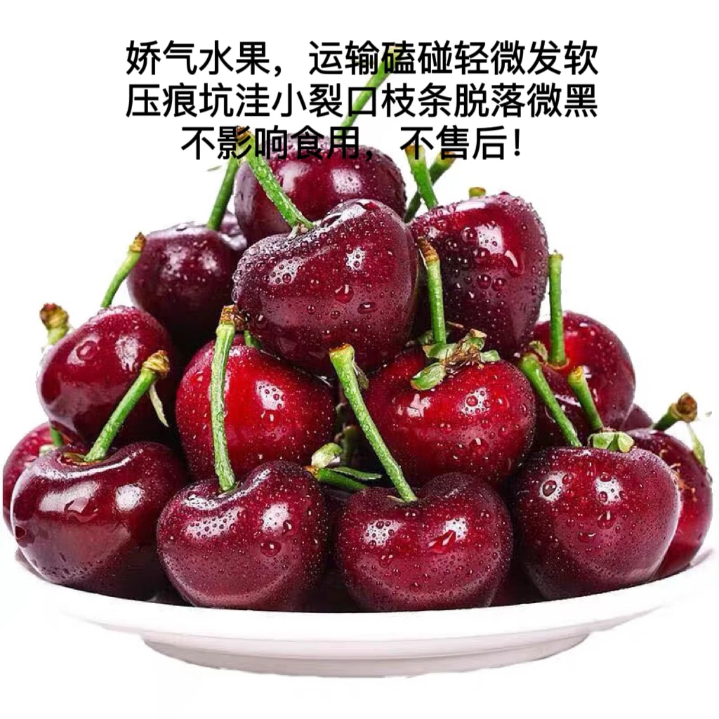 吉制智利进口车厘子海运科迪亚2JD净约5斤一箱 内附果径卡