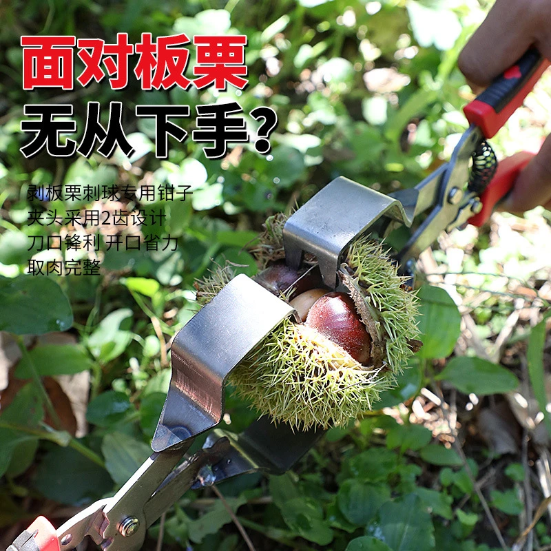 剥板栗刺球器栗子外壳去皮毛夹脱蓬器开口超省力拨板栗开壳工具