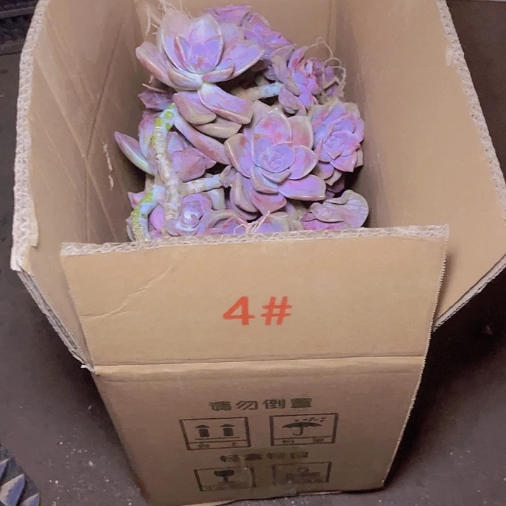 你不接啊电话你也