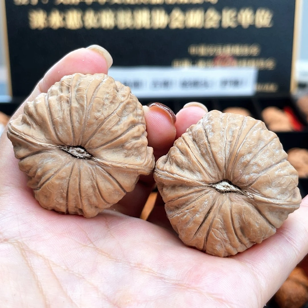 把件文玩核桃43毕业级正圆肉凹底放射纹➕近正肩43s2