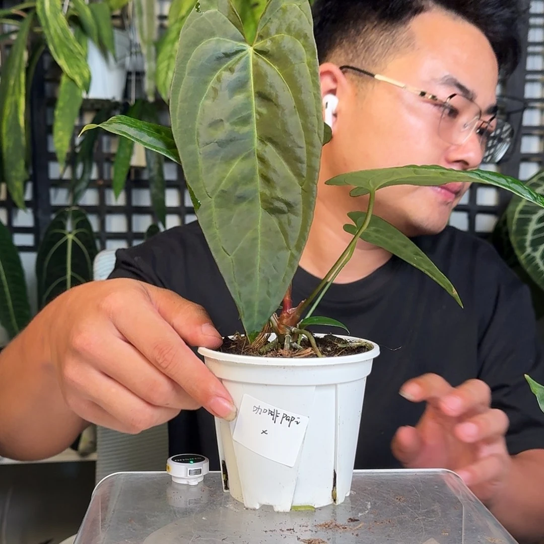 无花朵飠*孩一物一拍W70