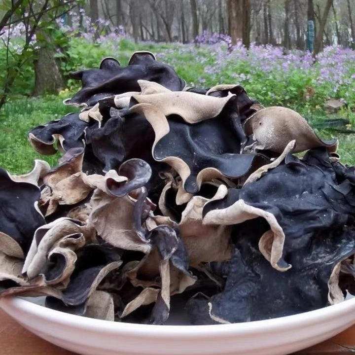 湘西高山野生木耳
