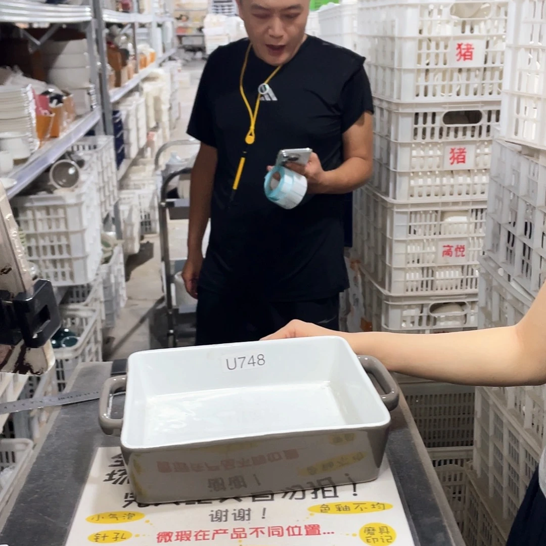 瓷片748              1个