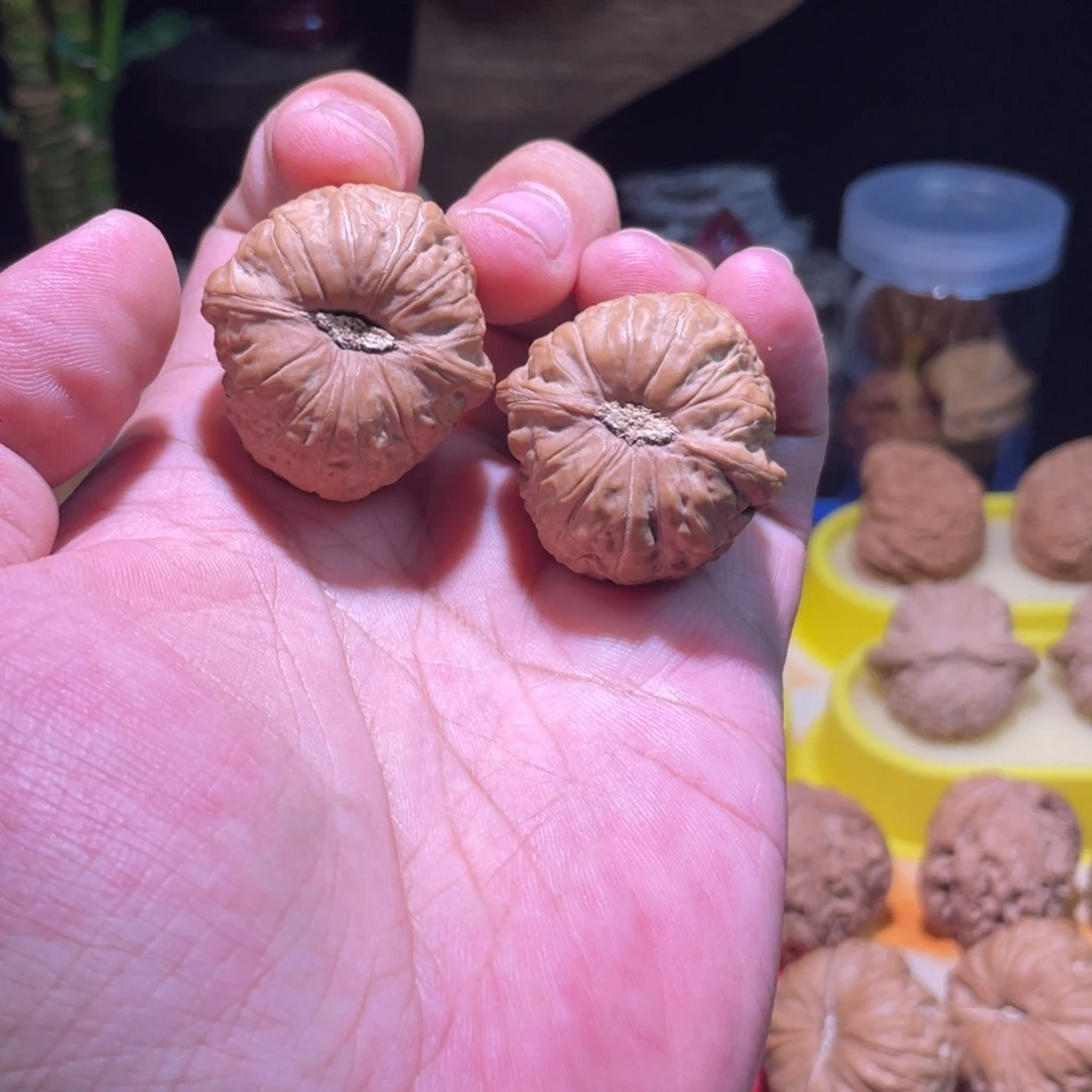 把件文玩核桃37全品卡姿兰对歪蝴蝶小尺寸手捻南瓜墩