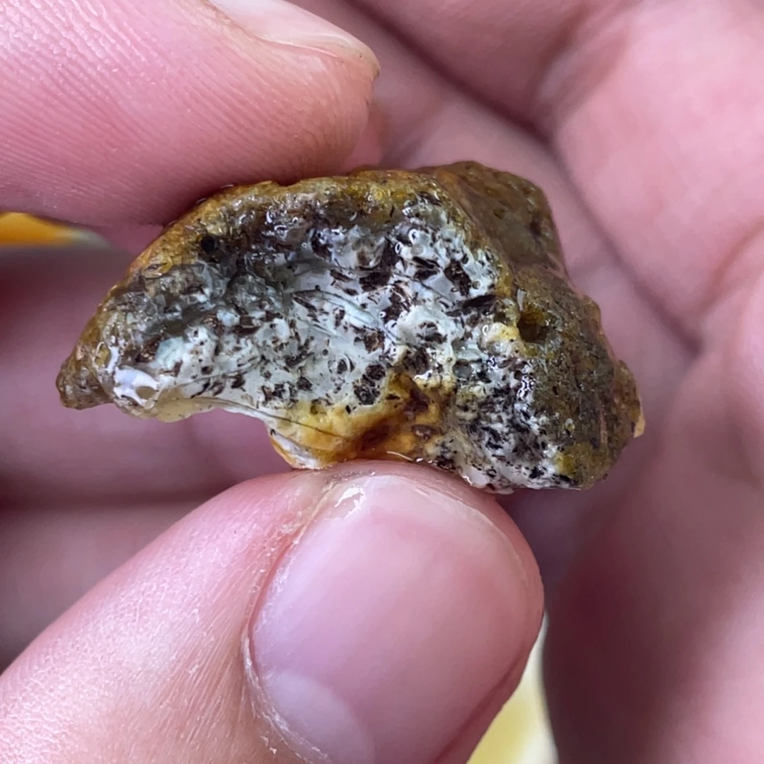 定制琥珀天然琥珀奥利奥11圆珠或老型