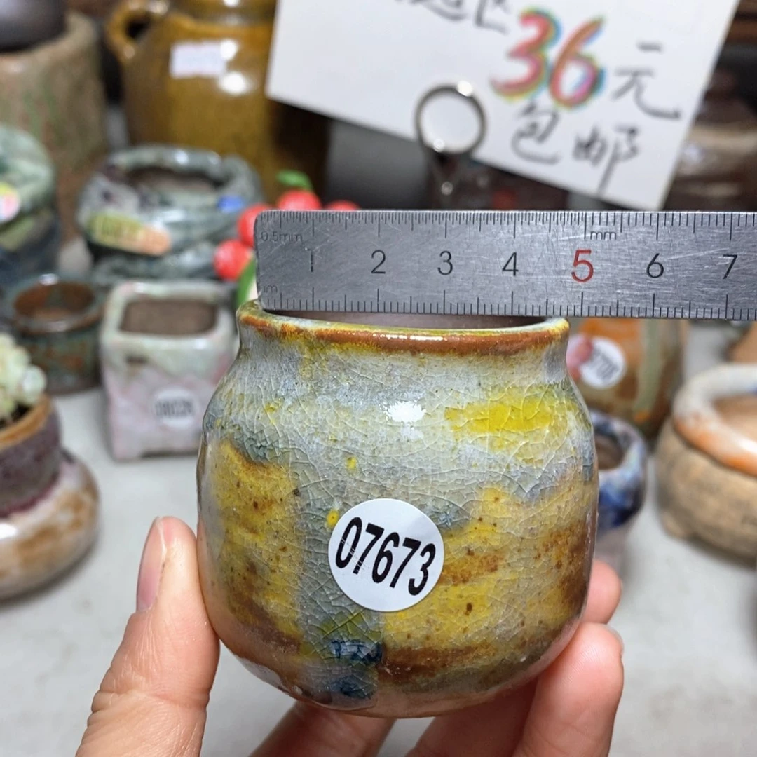 花盆拍5送一个小礼物