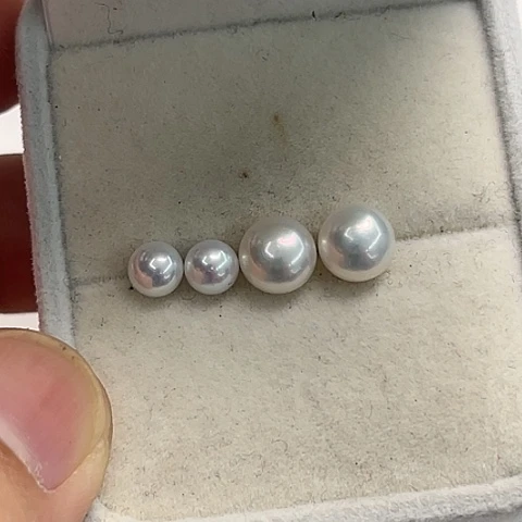 淡水珍珠耳饰银S925镶嵌Y*宝