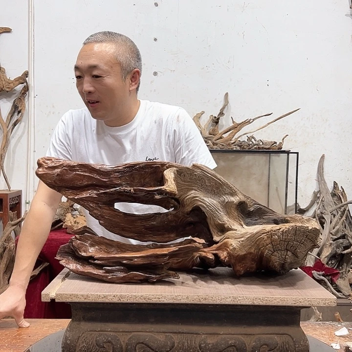 柏木幸*纪我们的生活也是如此的