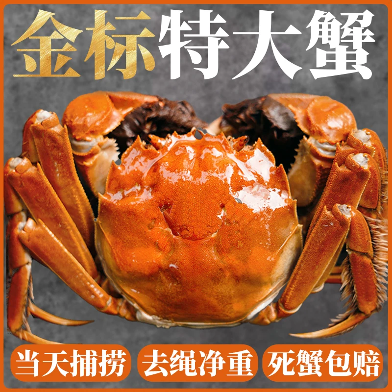 【活蟹】精挑大闸蟹母蟹3.5-3.2两10只装鲜活冷链包邮LL