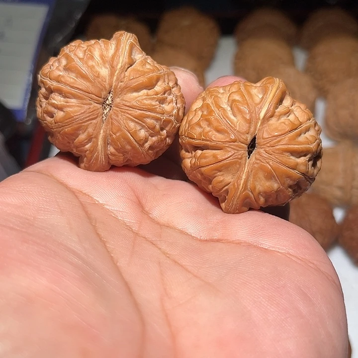 文***码木43平谷属。