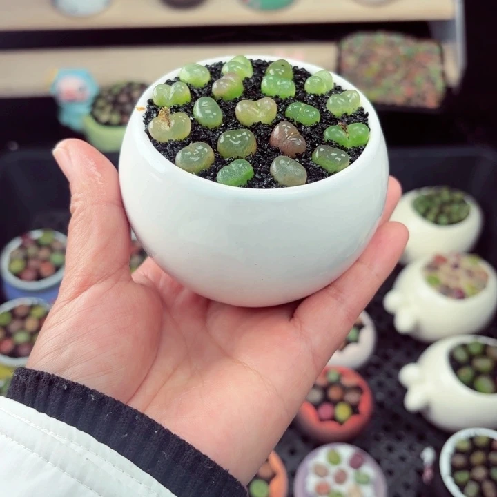 550零下地区记得拍保温箱满18包邮