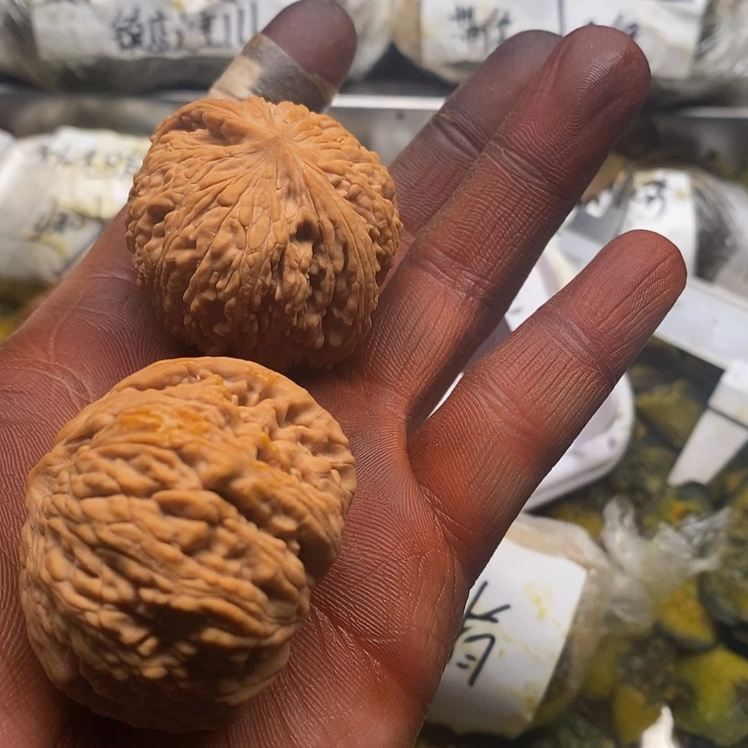 小***郎逗哥回北京举办忽忽悠悠