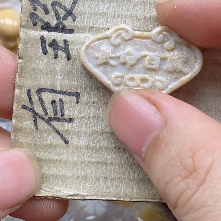 颈饰未镶嵌硅化珊瑚（珊瑚玉）s*浪小