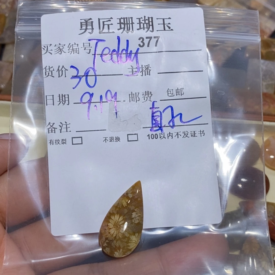 【闪购商品】未镶嵌珊瑚玉硅化玉T***y