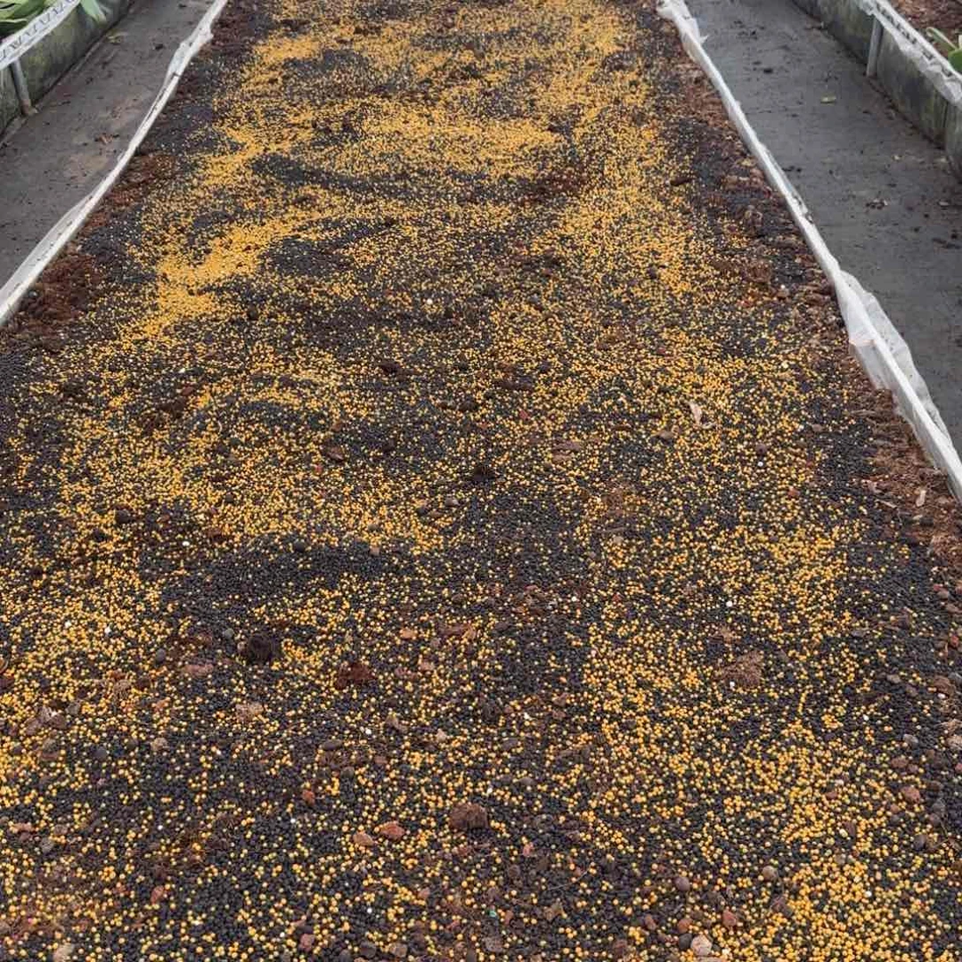 卓***赁新疆发货运费差价