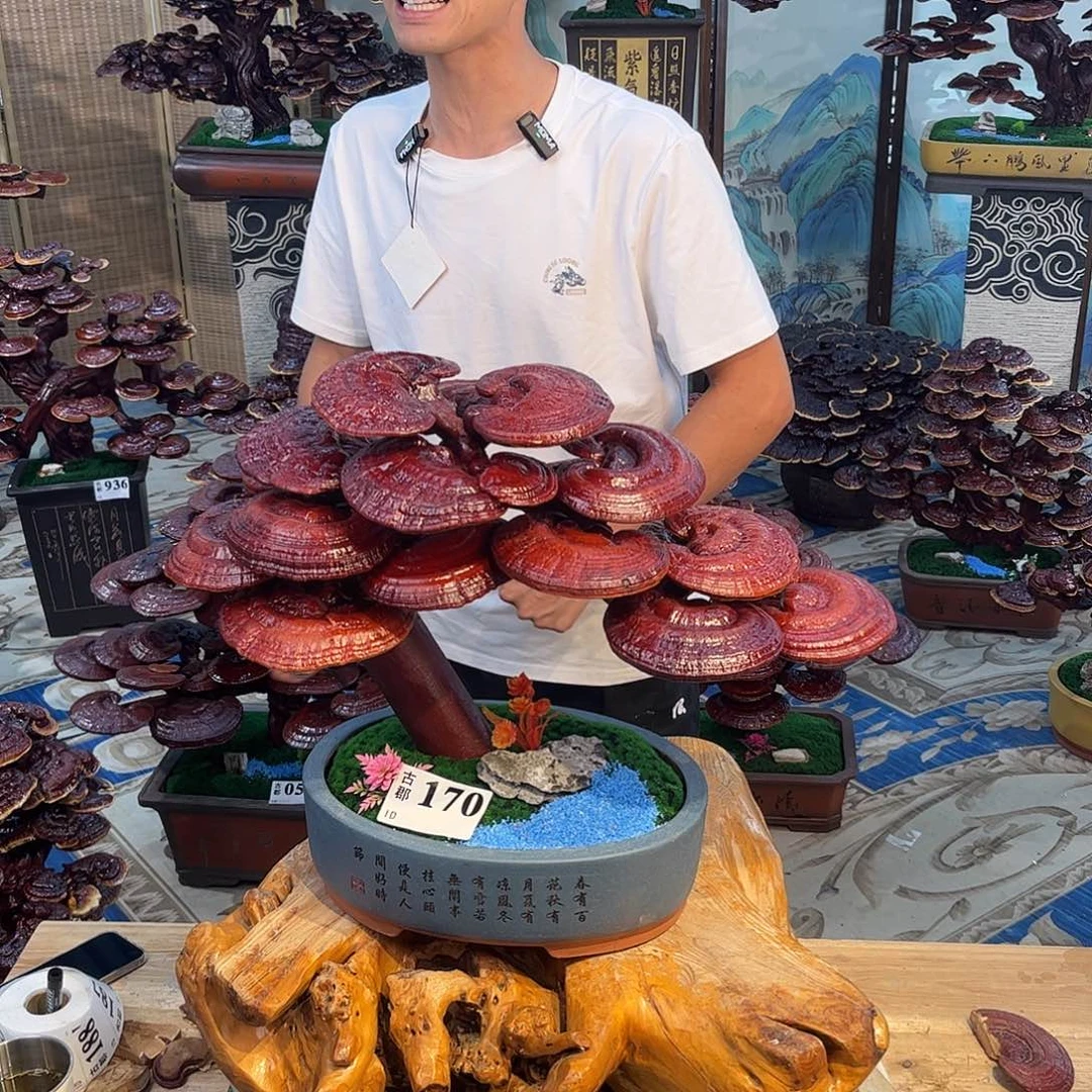 无花朵8888888888888