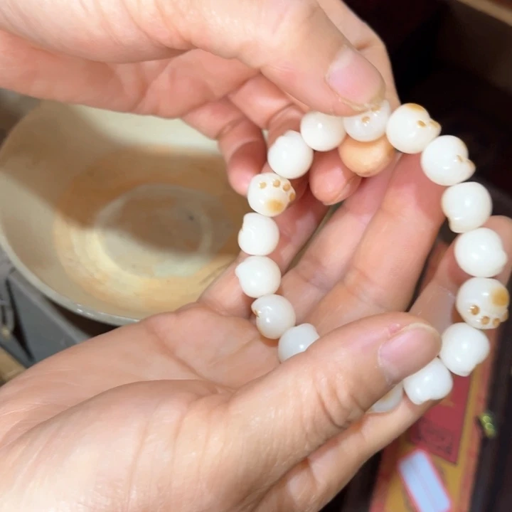 瓷片不能在这里度过吧、