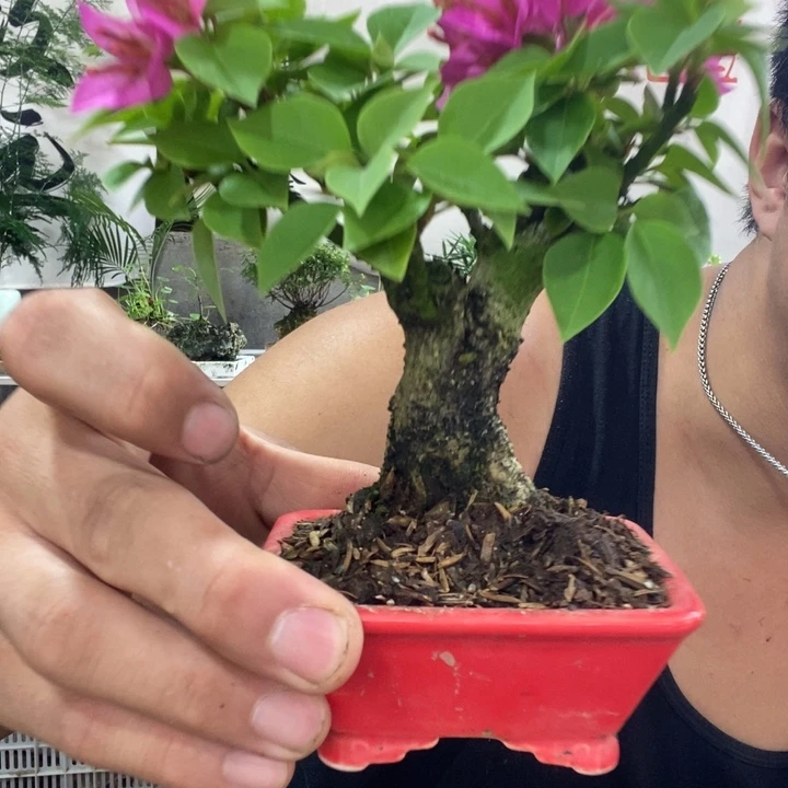 *****以实际为准退款退款拉黑161