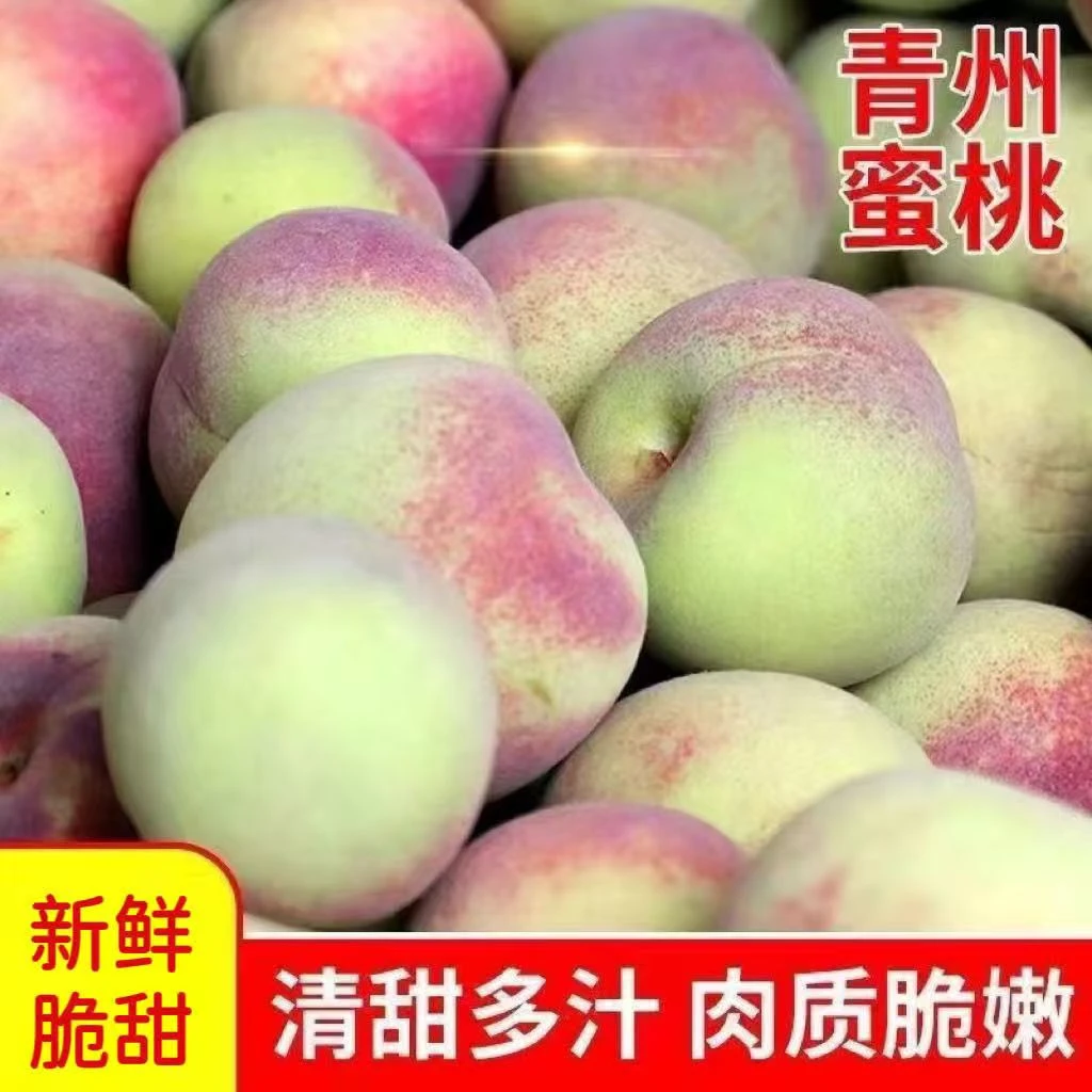 青州蜜桃新鲜现摘脆甜多汁儿时味道应季水果山地毛桃硬桃脆桃