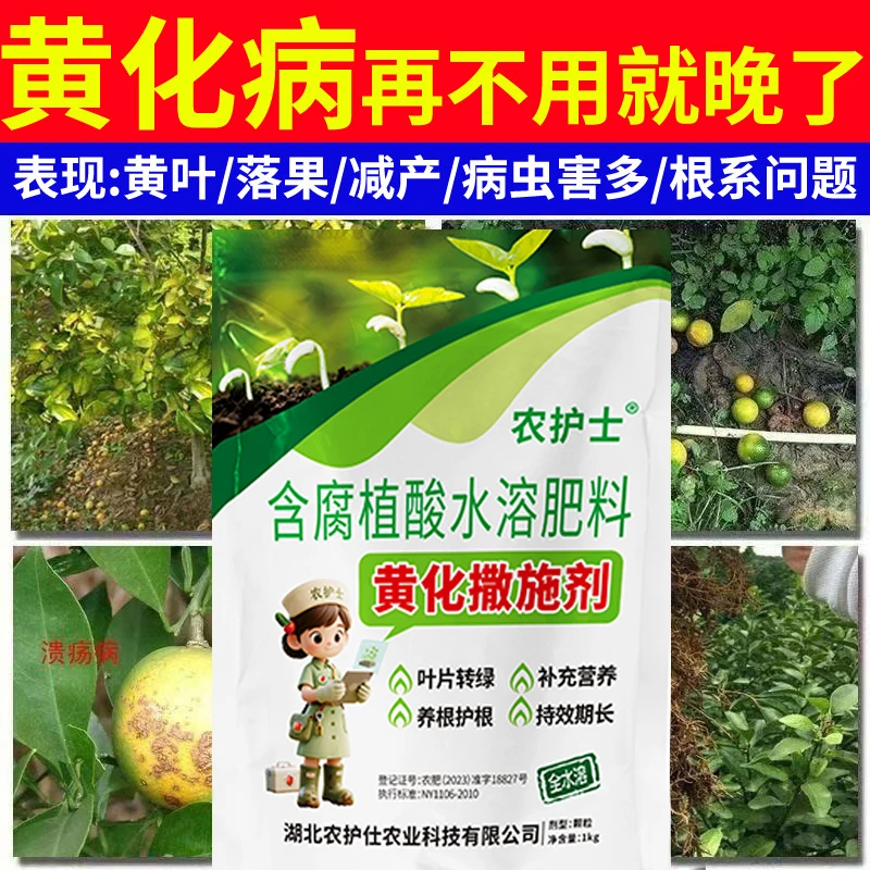 农护士黄化一撒清水溶肥改善叶片黄化柑橘种植专用肥颗粒撒施剂