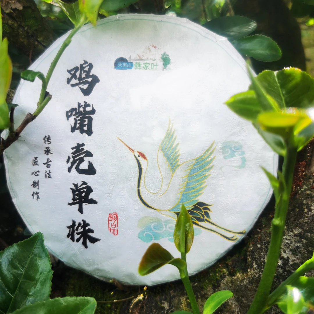 【支书严选1】2025鸡嘴壳单株云南普洱茶 饼茶