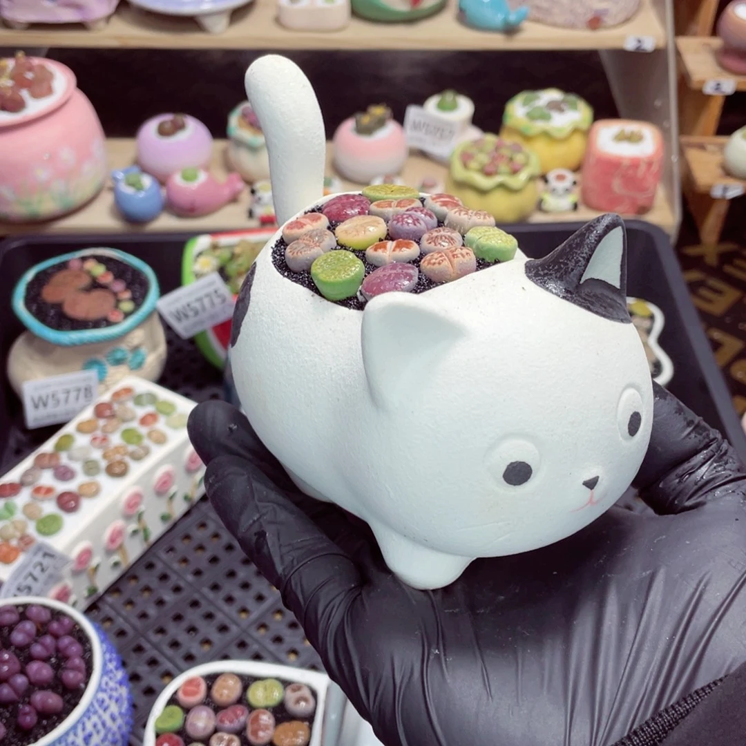 夜间零下地区拍保温箱w5770