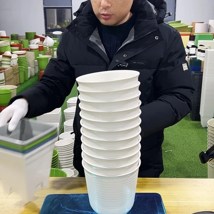 正品高陶口15高15白色8只无托