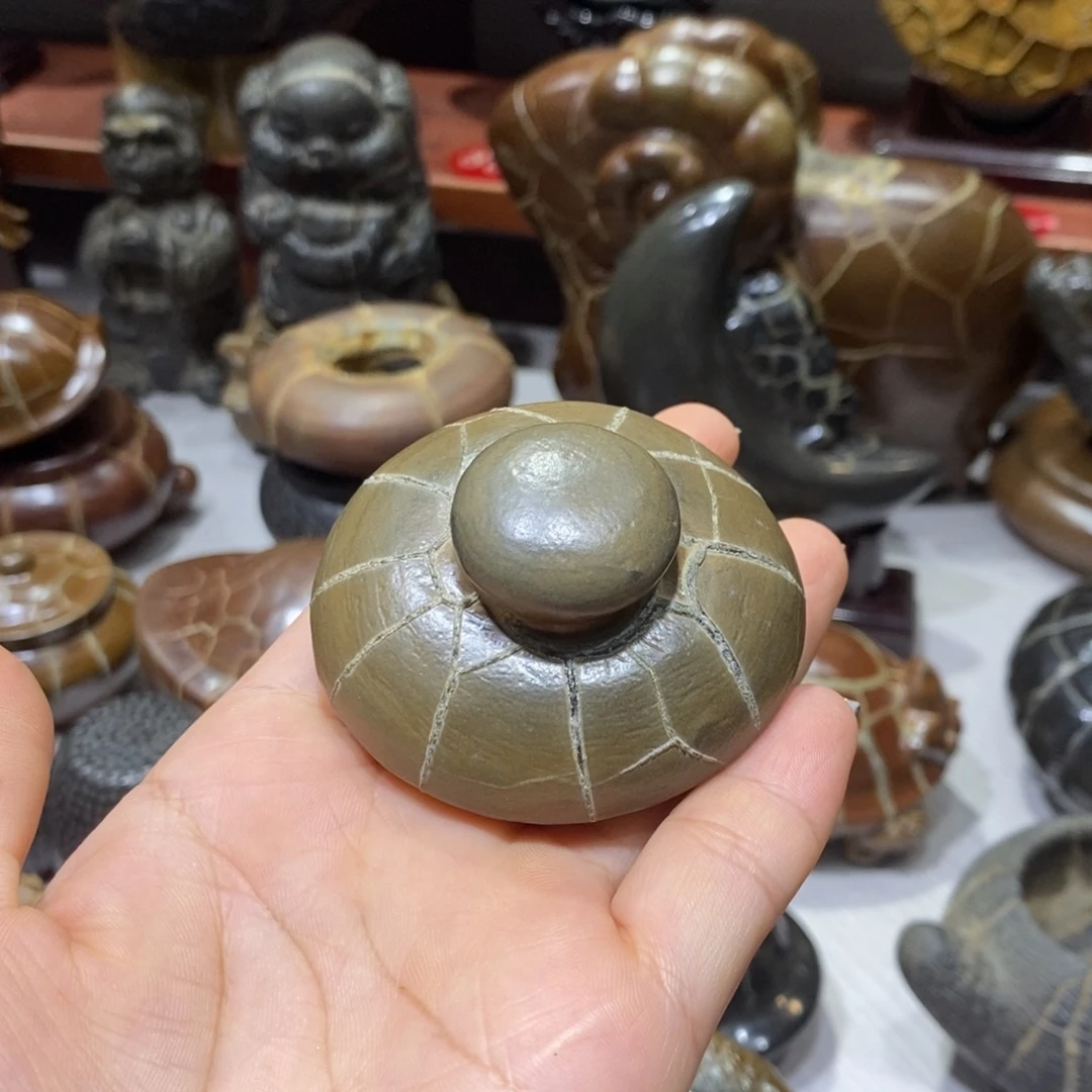 阳***牌龟纹石原产地直播