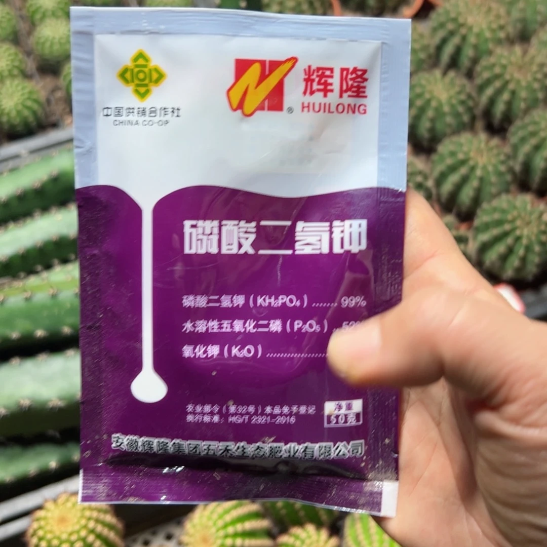 下仙人球用磷酸二氢钾50克20包邮