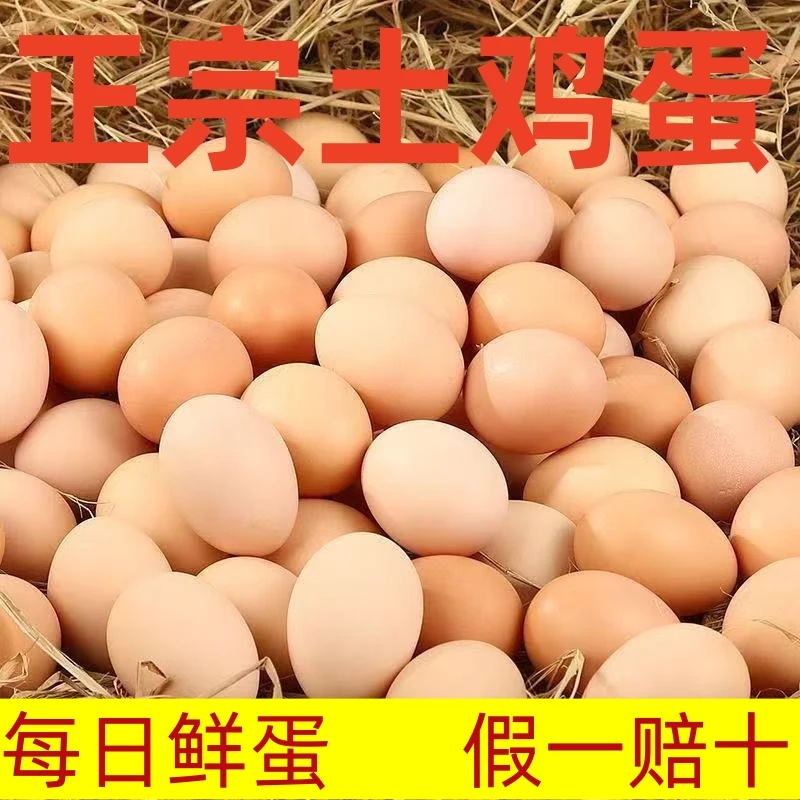 【土鸡蛋】正宗农家散养土鸡蛋新鲜柴鸡蛋笨鸡蛋孕妇儿童吸取营养