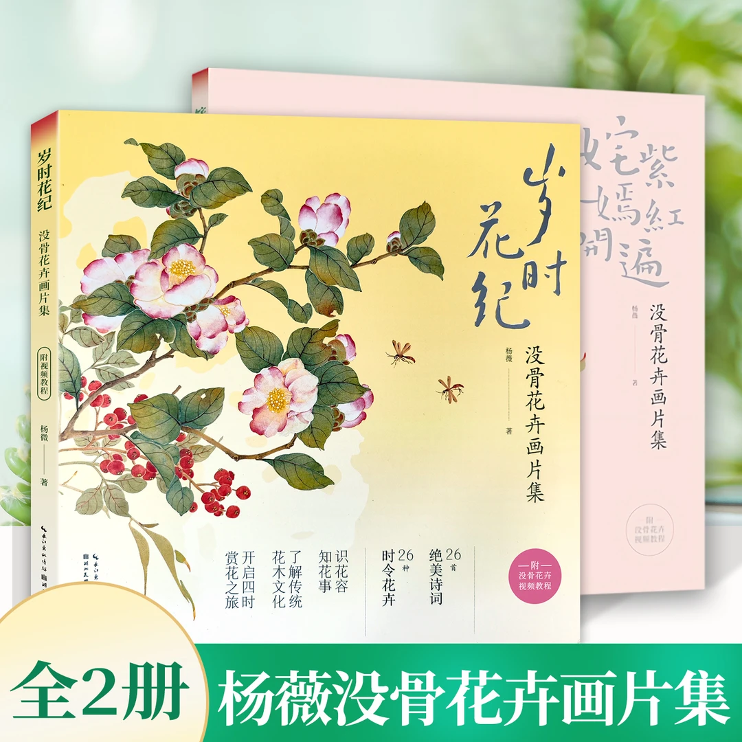岁时花纪 没骨花卉画片集 教学视频没骨花卉日课末芥绿杨薇团扇面