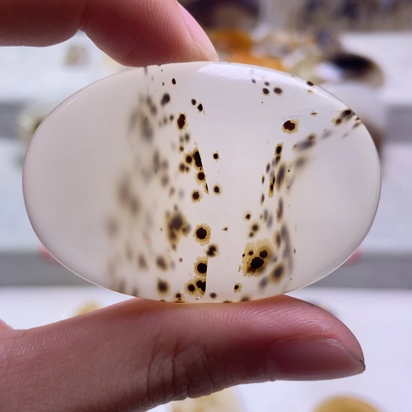 【闪购商品】未镶嵌玛瑙/玉髓珠宝奇石