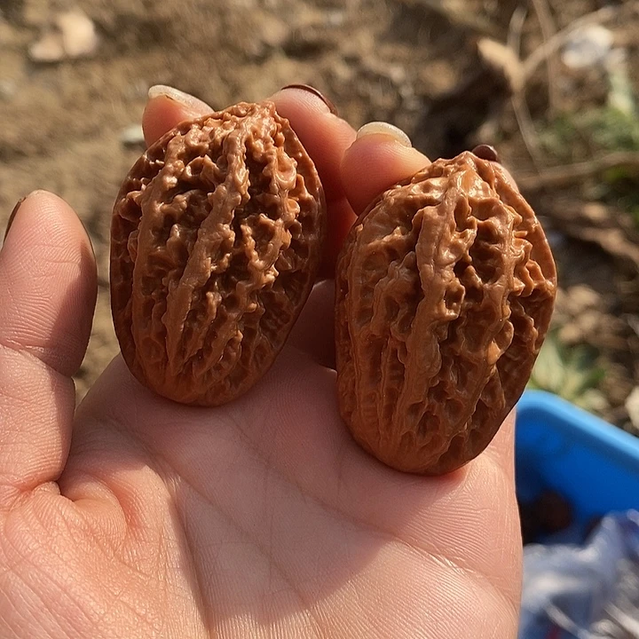 春***店文玩核桃吊坠判官笔一物一图发货不退换介意勿拍