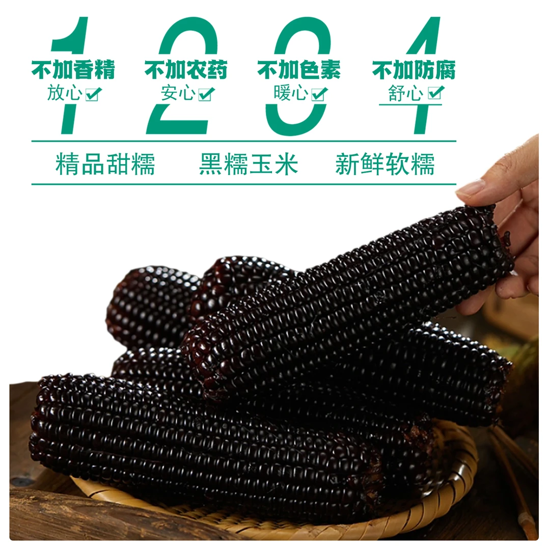 【试吃2根】25年头茬东北黑糯玉米10根装整箱5斤