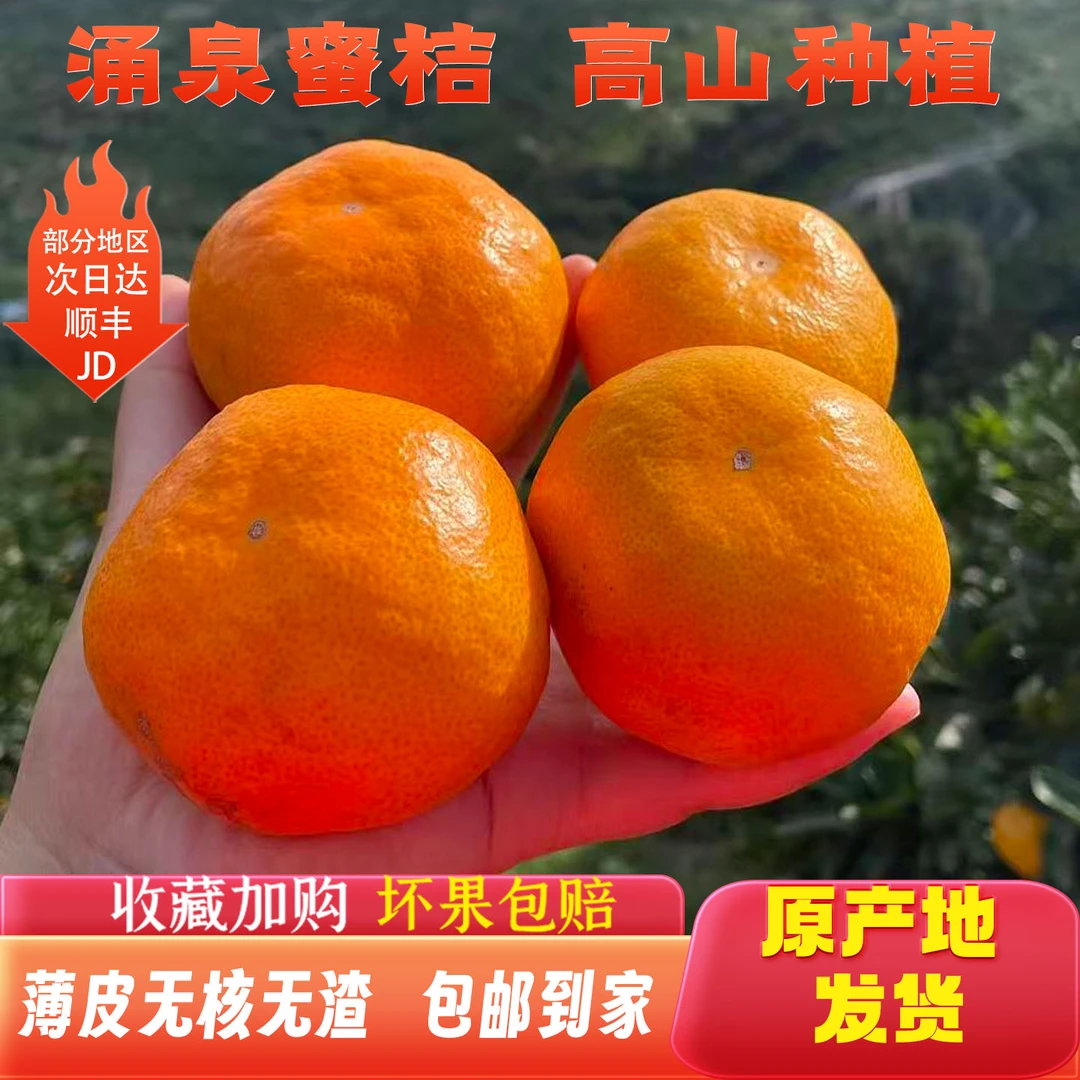 浙江涌泉蜜桔新鲜无核橘子当季水果产地直发临海高山正宗蜜橘纯甜