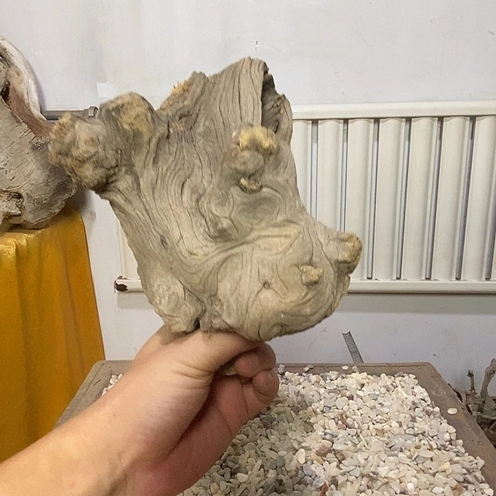 耿***新柏木崖柏天然艺术根雕