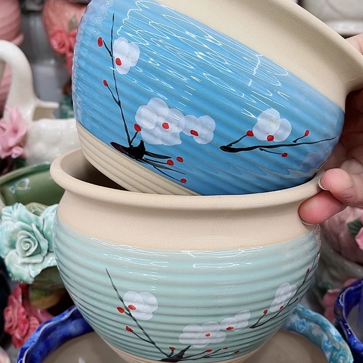 多肉植物陶瓷花盆