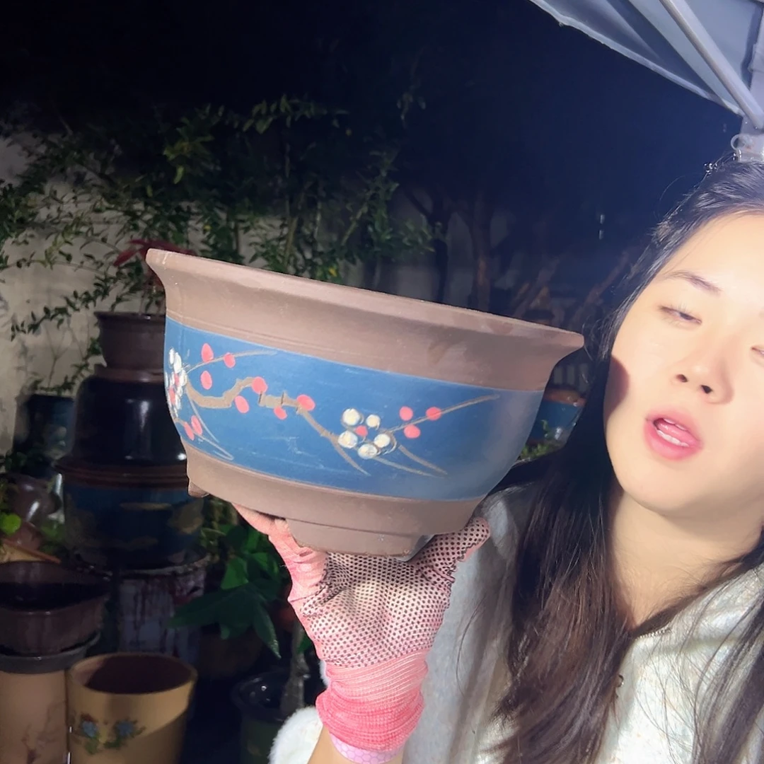 蓝富贵点菜中号一个