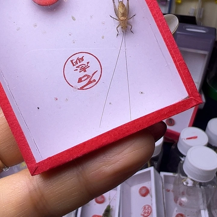 心***龢哈哈哈哈哈哈哈哈哈哈哈哈