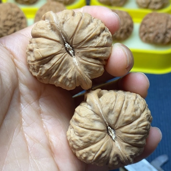 文玩核桃南瓜墩40