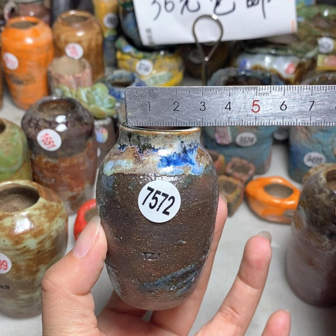 拍5送一个小礼物